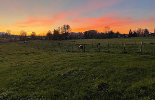 FÜNF ROSEN Boutique Apartment - Bio-Ferienwohnung am Staffelsee im Blauen Land - Foto 41