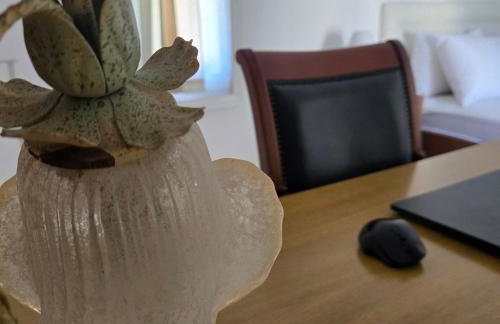 Mytilini City Center Petrino Guesthouse - Foto 45