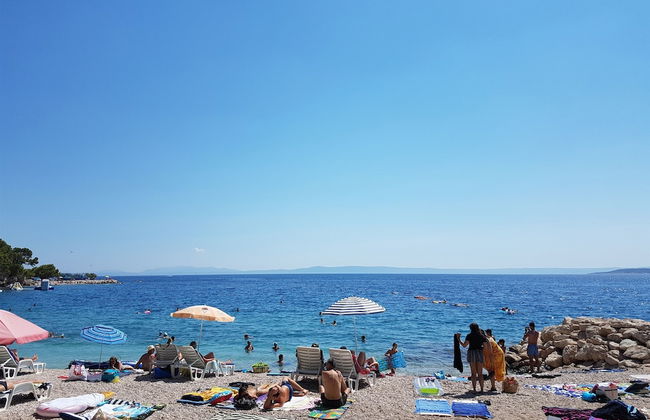 House Ante - Photo 26