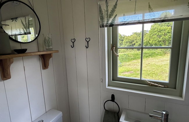 Cosy Devon Hut With Private Hot Tub - Foto 6