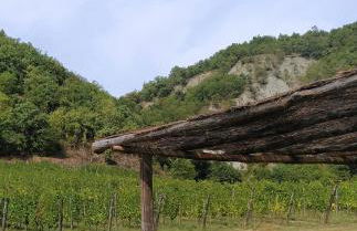 Cascina Formighezzo - Foto 15