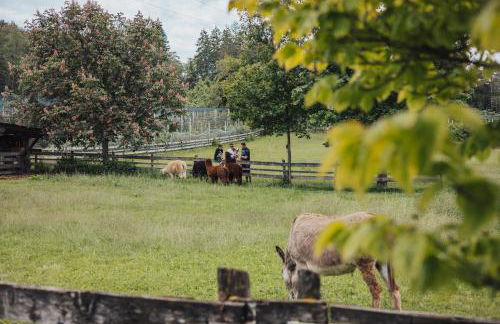 Residence Hoferhof - Foto 42
