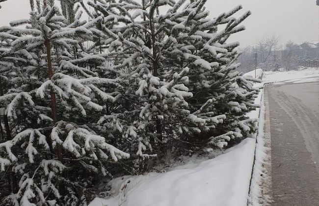 Royal Bansko Aparthotel - 1 Bed Sleeps 4 - Foto 12