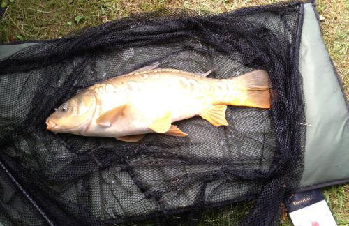 Meadow Lodge - Foto 17