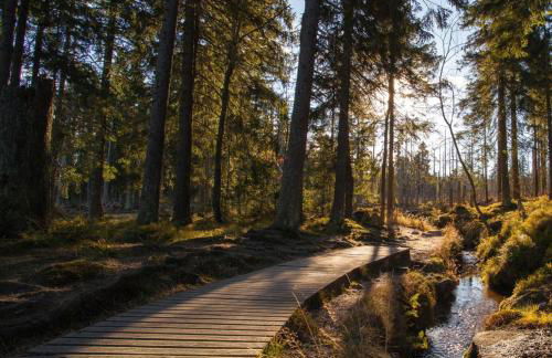 HIRSCH Hänsel Ferienhaus Garten mit Bergblick - Grill -Wald - Foto 39