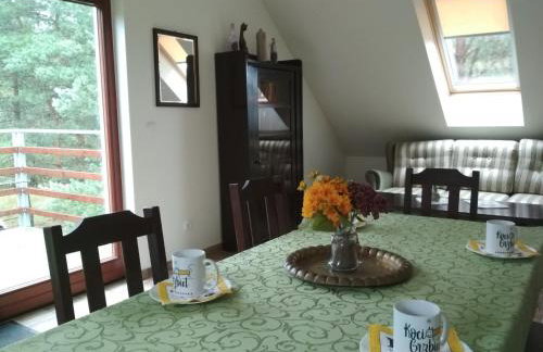 Koci Grzbiet Agroturystyka - Foto 2