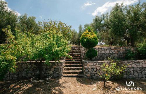 Villa Nora - Photo 8