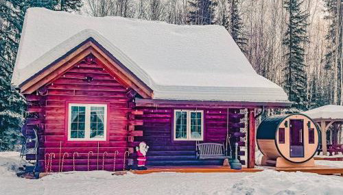 Northern Lights Log House w/ Sauna - Foto 4