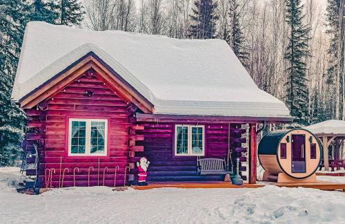 Northern Lights Log House w/ Sauna - Foto 4