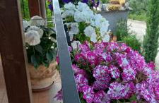 Colle Perazzoni - Foto 24