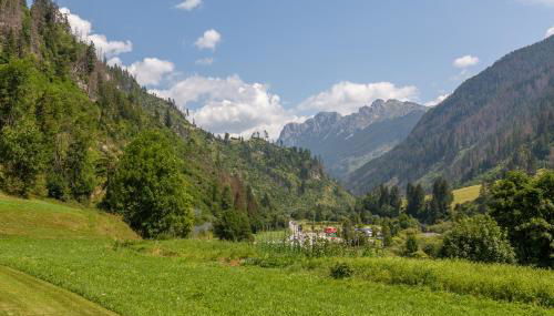 Alpinia - Foto 3, Garden view