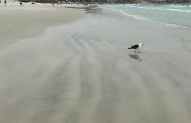 Casa aconchegante - Foto 2