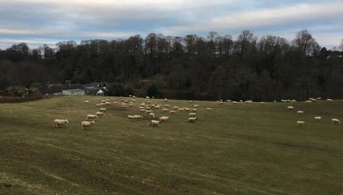 Ghyllie Cottage - Foto 3