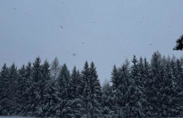 Domek Nad Jeziorem Mazury - Foto 50
