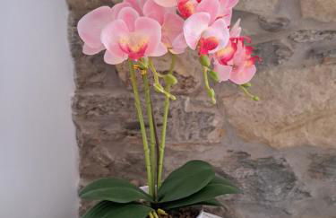 A Casa dos Avós - Alojamento Local - Foto 28