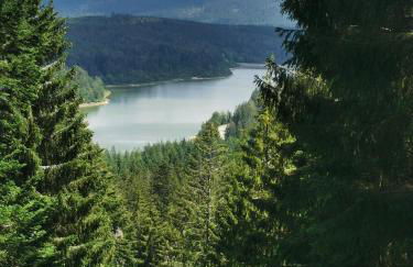 Nähe Nationalpark - Foto 15