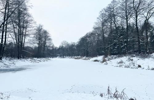 Masuria Warsaw - dom na wyłączność - w lesie i przy rzece - 15 min od Warszawy - Foto 73