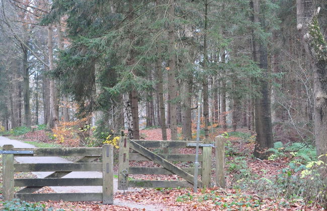 Shed 57b in an old Flour Mill in Haulerwijk - Foto 31