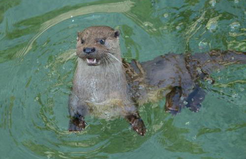 Can Batlló, entorno acojedor y romántico - Foto 71