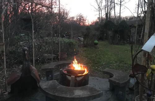 Un jardin en forêt - Foto 14