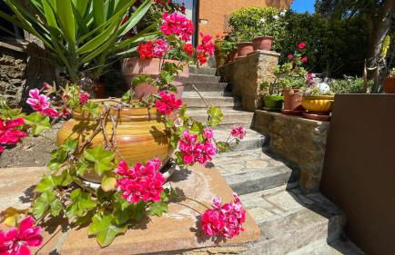 Bellavista - Foto 57