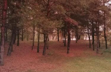 Świetna Chatka nad jeziorem - Foto 26