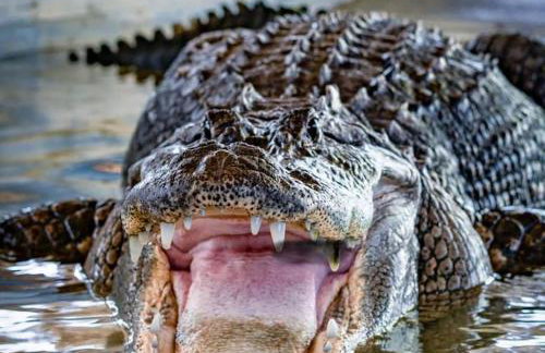 Casa Relax Total - Foto 63