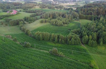 GLAMP GLAMOUR***** - Foto 25