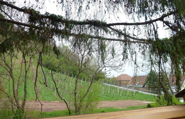 Sobieski Apartments Vienna - Foto 44