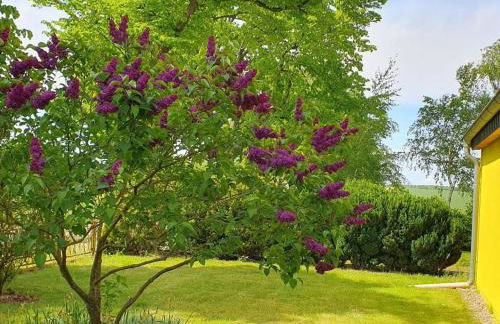 Apartment Landhaus Müritzliebe by Interhome - Foto 12