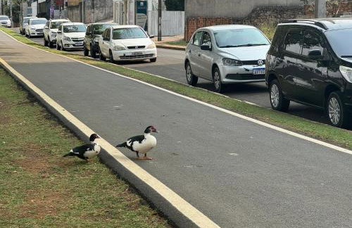 Studio com quarto e banheiro em frente ao Parque do Lago Acomoda até 2 pessoas 1 cama - Foto 24