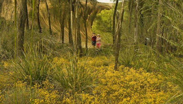 Explorando las Wave Rocks