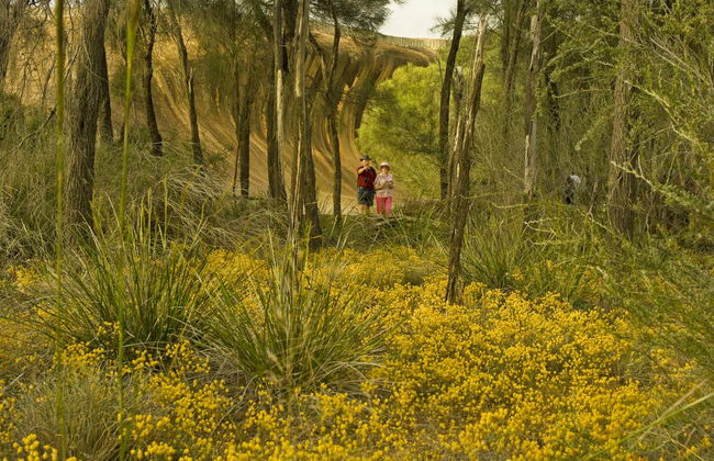 Escursione a Wave Rock e York - Foto 2