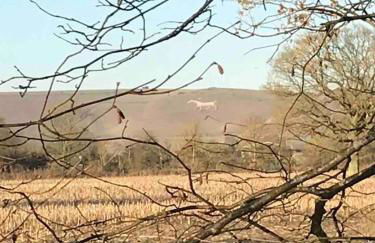 Cosy Rural Retreat, Sleeps 3 & Petfriendly - Foto 59