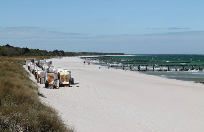 Ferienhaus mit Garten in Zingst - Foto 44