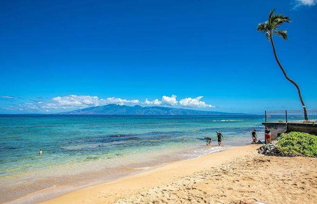 Nohonani 102 2 Bedroom Condo - Foto 33