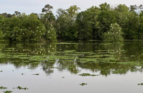 Kingwood Cottage - 10 mins from IAH - Lake Front - Foto 28