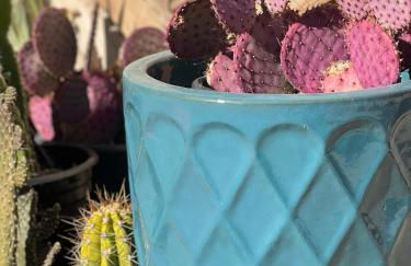 Game Room! Mid Century Danish Home in Downtown Solvang - Foto 16