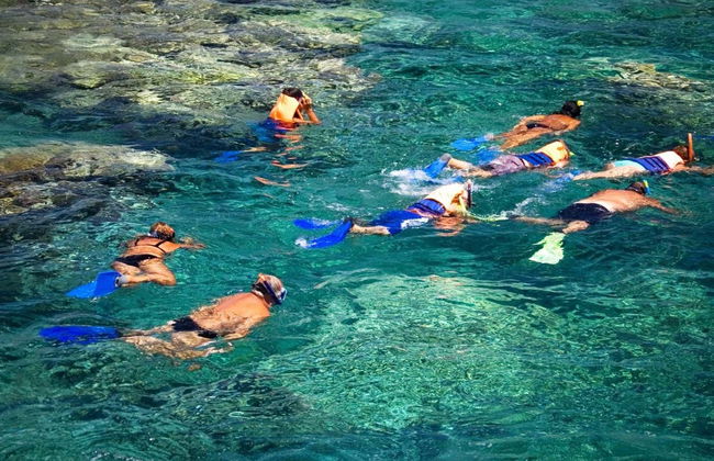 Snorkeling dans une ferme de corail - Photo 2