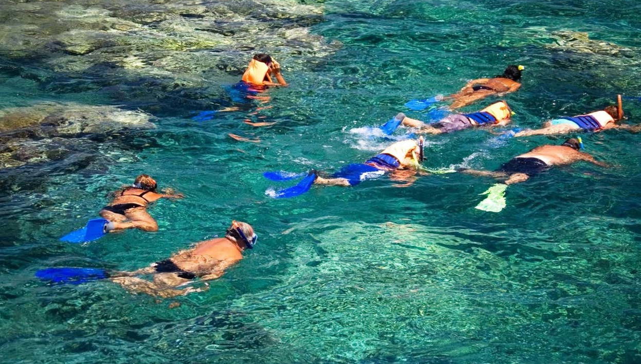 Snorkeling à la ferme de corail