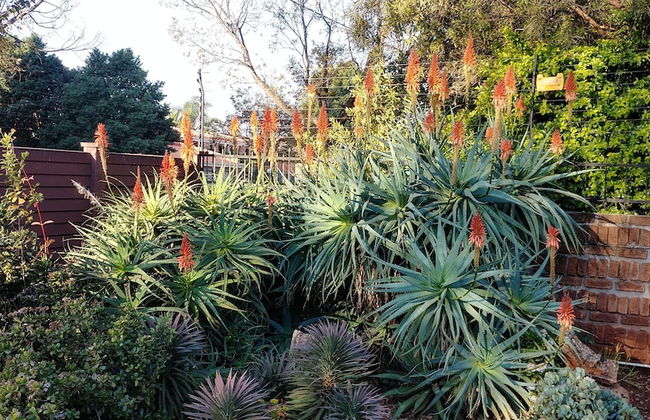 Wilger Guesthouse - Foto 36