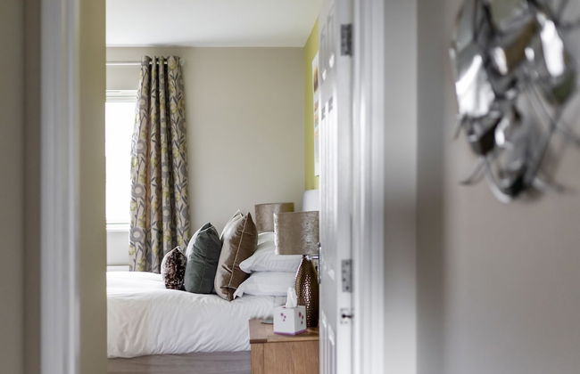 About Tern - Foto 11