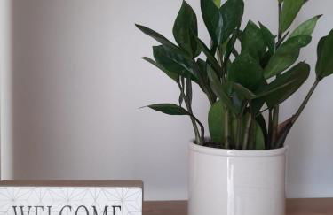 Tra Vento e Mare - Foto 21