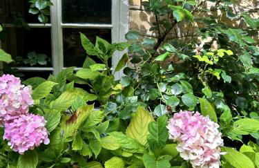 Thatched Cottage 2 Bed 2 Bath in Stour Provost near Shaftesbury and Longleat - Foto 19