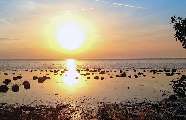 4 Person Holiday Home in Gotlands.tofta - Photo 49