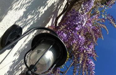 Les Jardins de l'Ile - Foto 15