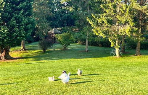 Blackbrook Lodge Cabin - Foto 23