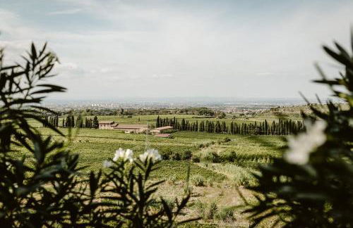 Merumalia Wine Resort - Foto 43