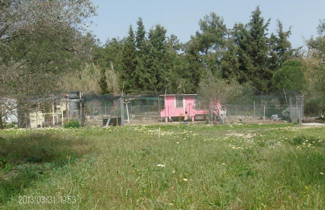 The Olive Yard House - Foto 53