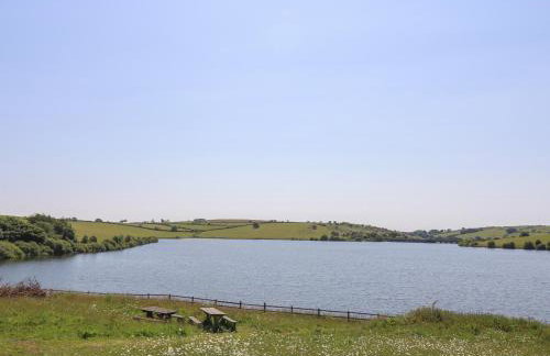 Little Hamlin - Foto 32